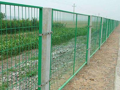 綠化護欄網(wǎng)圖片2