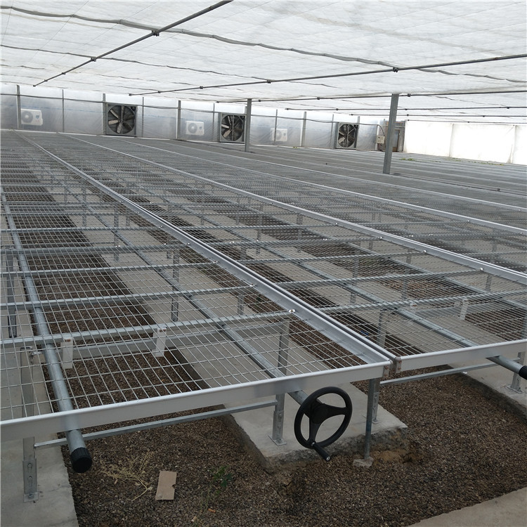 溫室苗圃網(wǎng)圖片2 溫室苗圃網(wǎng)圖片2