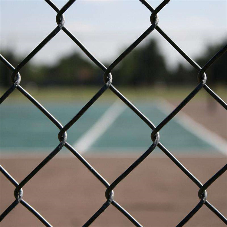 運動場勾花護欄圖片3 運動場勾花護欄圖片3