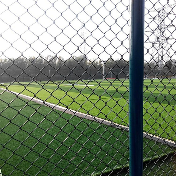 羽毛球場圍網(wǎng)圖片4 羽毛球場圍網(wǎng)圖片4